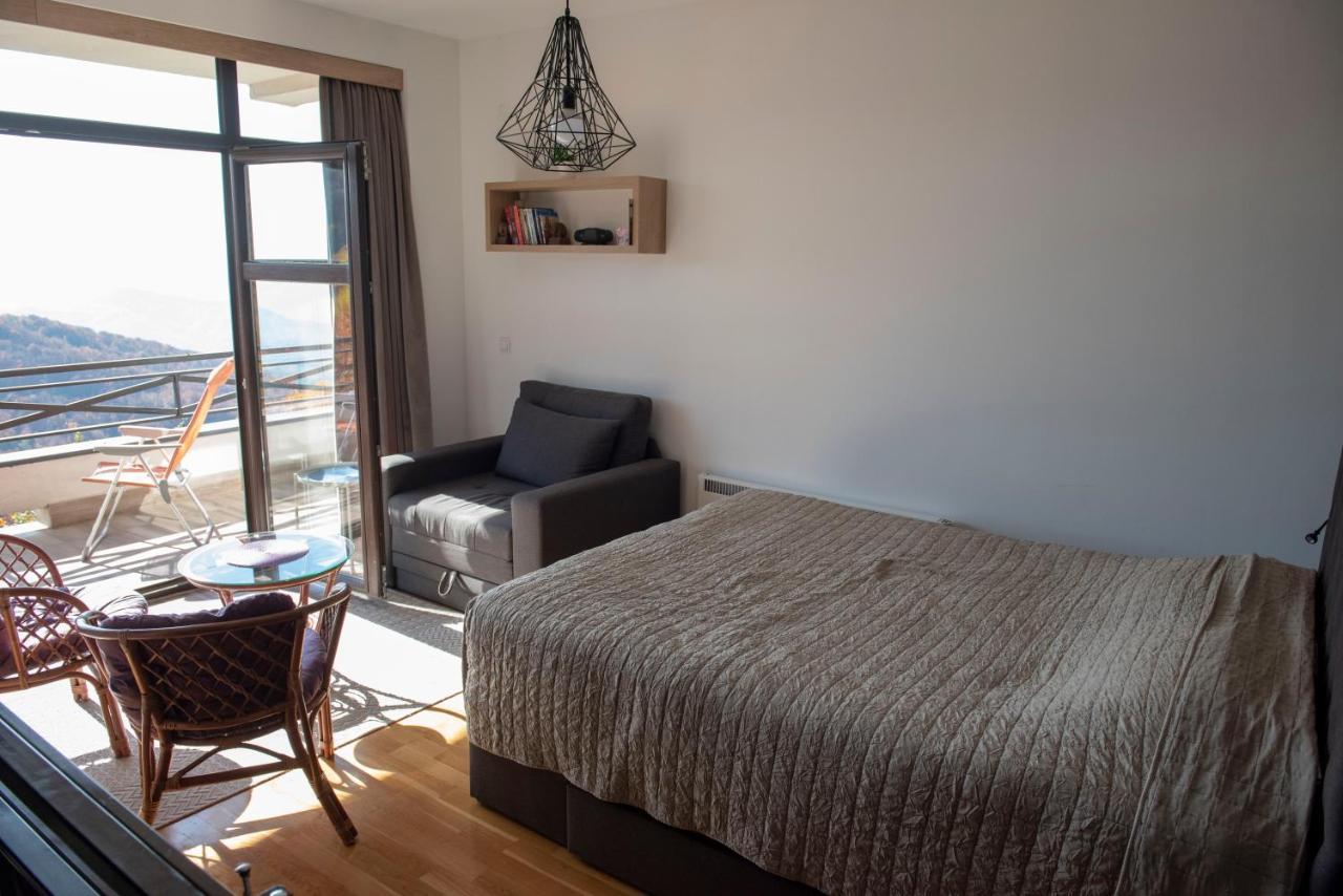 Apartman Andjela Kopaonik Buitenkant foto