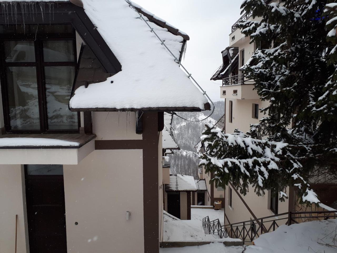 Apartman Andjela Kopaonik Buitenkant foto