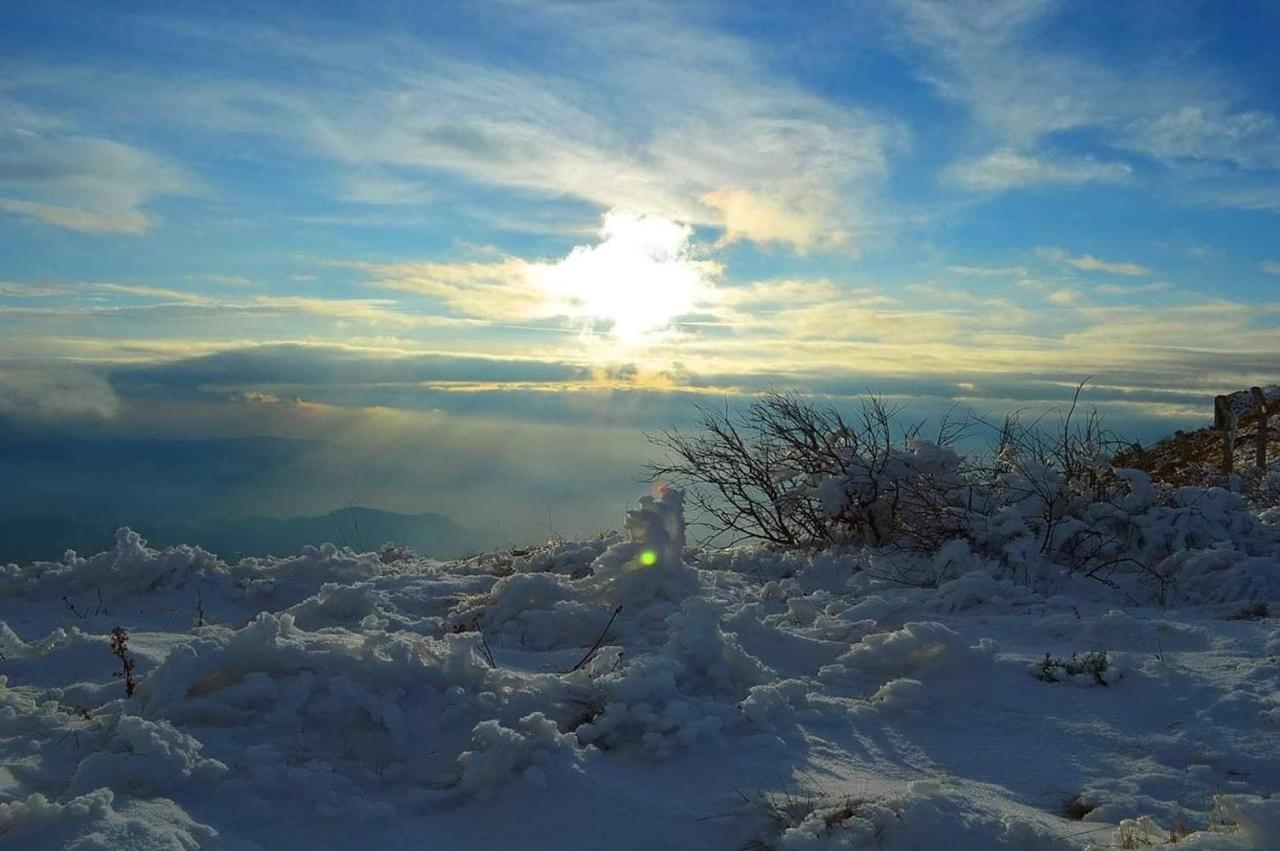 Apartman Andjela Kopaonik Buitenkant foto