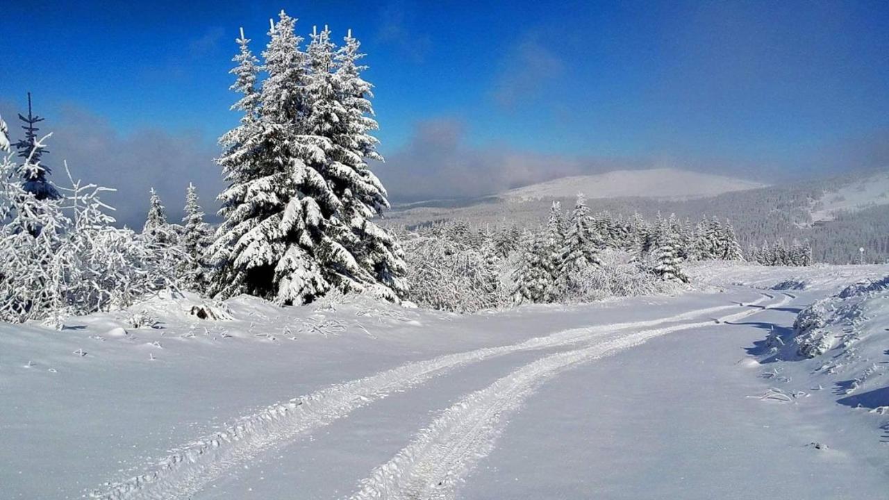 Apartman Andjela Kopaonik Buitenkant foto